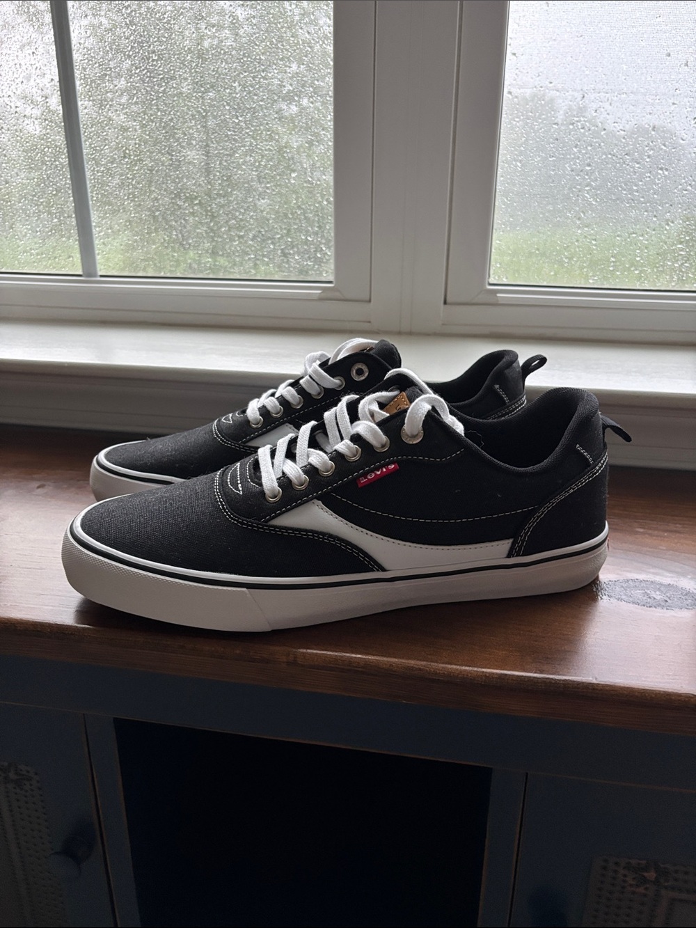 Levi's Black Canvas Low-Top Sneakers